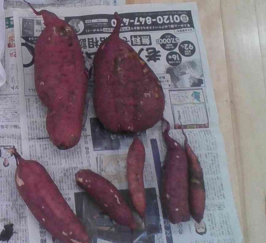 W867Q75_IMG_20251014_135905